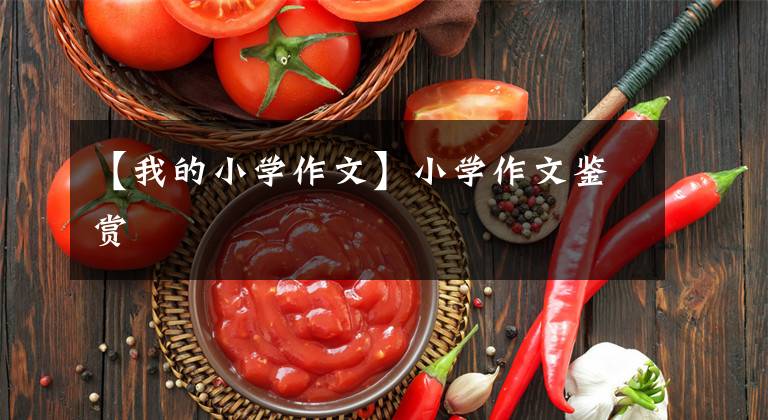 【我的小学作文】小学作文鉴赏