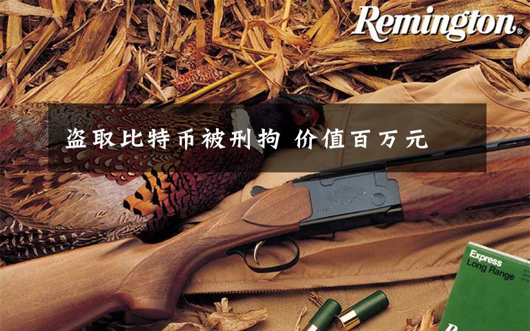 盗取比特币被刑拘 价值百万元