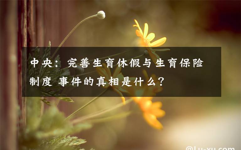 中央：完善生育休假与生育保险制度 事件的真相是什么？