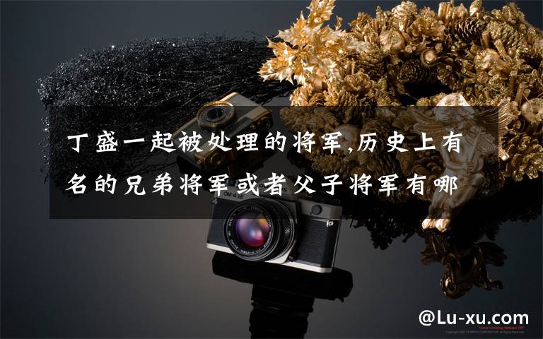 丁盛一起被处理的将军,历史上有名的兄弟将军或者父子将军有哪些？