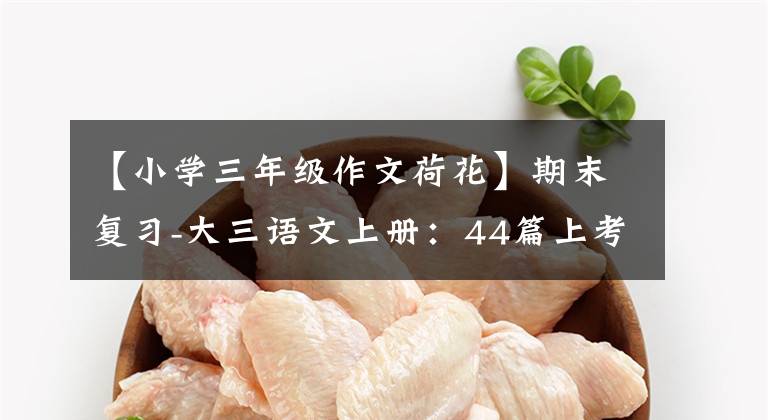 【小学三年级作文荷花】期末复习-大三语文上册:44篇上考命题作文。