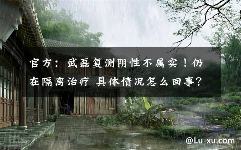 官方:武磊复测阴性不属实!仍在隔离治疗 具体情况怎么回事?