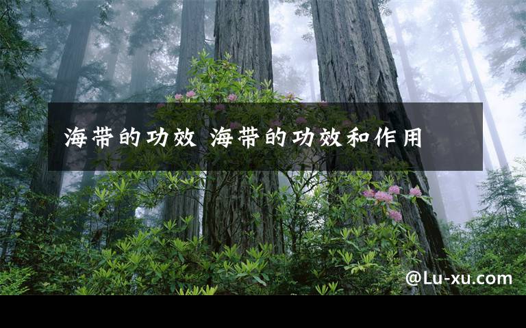 海带的功效 海带的功效和作用