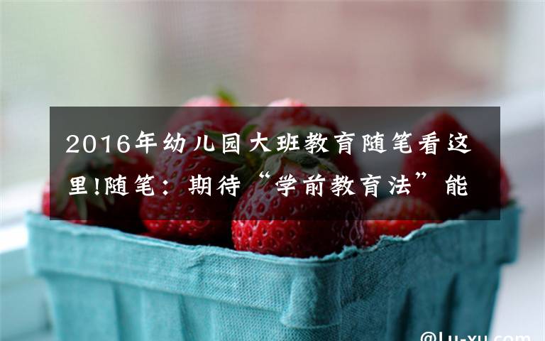 2016年幼儿园大班教育随笔看这里!随笔:期待“学前教育法”能杜绝“容嬷嬷”