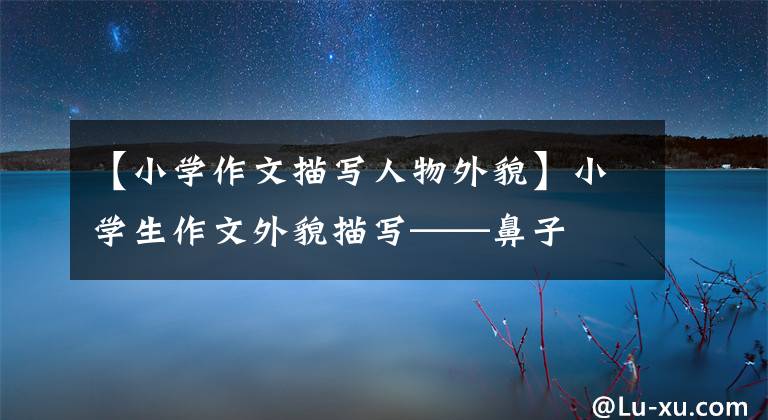 【小学作文描写人物外貌】小学生作文外貌描写——鼻子