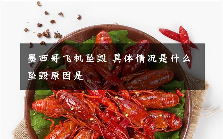 墨西哥飞机坠毁 具体情况是什么坠毁原因是