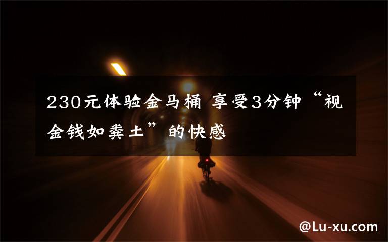 230元体验金马桶 享受3分钟“视金钱如粪土”的快感