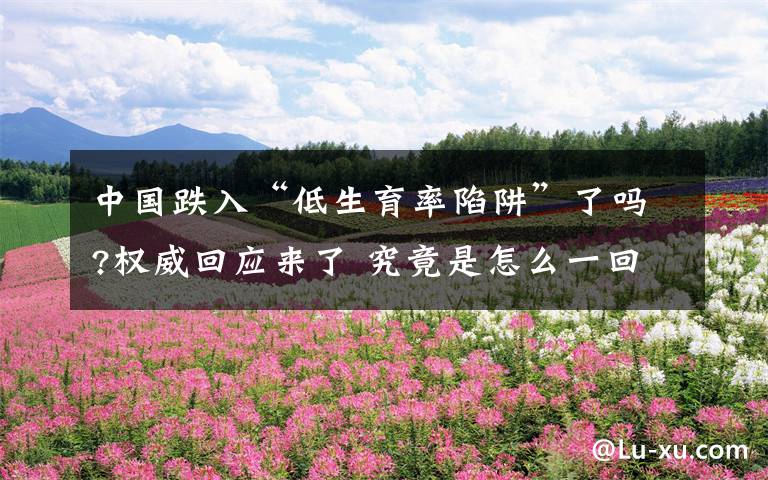 中国跌入“低生育率陷阱”了吗?权威回应来了 究竟是怎么一回事?