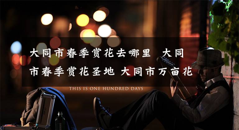 大同市春季赏花去哪里 大同市春季赏花圣地 大同市万亩花海在哪里