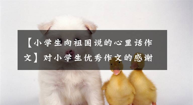 【小学生向祖国说的心里话作文】对小学生优秀作文的感谢-《祖国妈妈我想对你说》 《给妈妈的一封信》