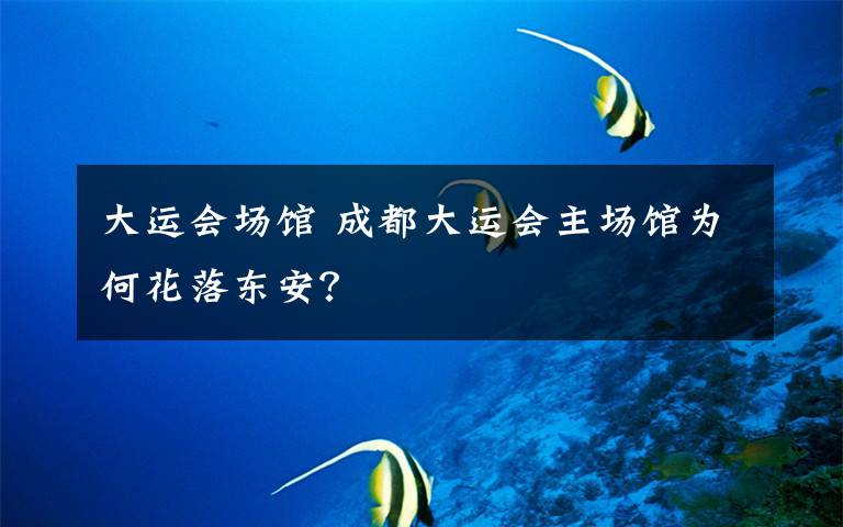 大运会场馆 成都大运会主场馆为何花落东安?