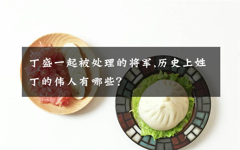 丁盛一起被处理的将军,历史上姓丁的伟人有哪些？