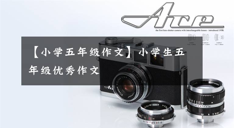 【小学五年级作文】小学生五年级优秀作文
