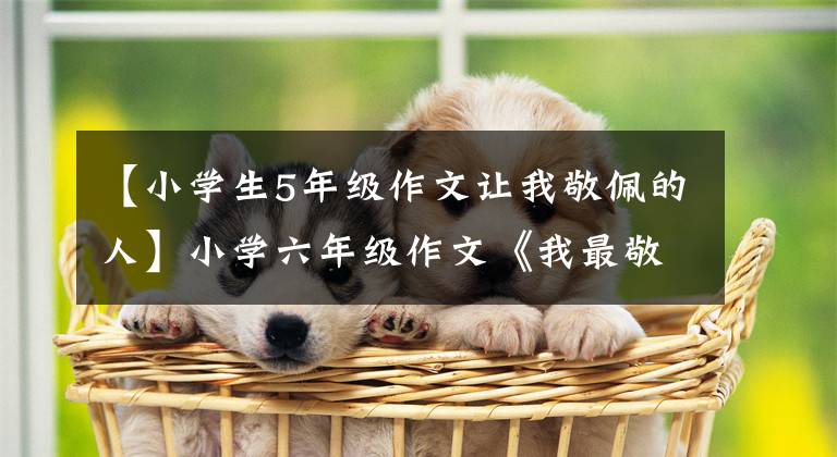 【小学生5年级作文让我敬佩的人】小学六年级作文《我最敬佩的人》,如何突出景服的原因?