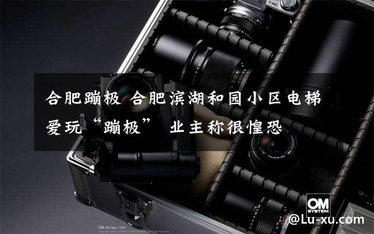 合肥蹦极 合肥滨湖和园小区电梯爱玩“蹦极” 业主称很惶恐