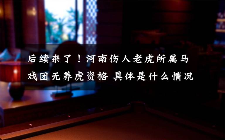 后续来了!河南伤人老虎所属马戏团无养虎资格 具体是什么情况?