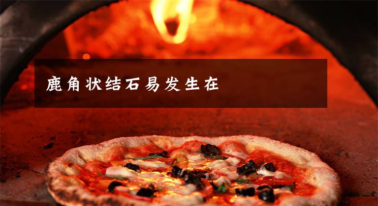 鹿角状结石易发生在