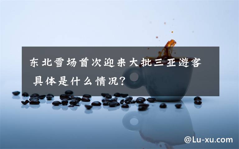 东北雪场首次迎来大批三亚游客 具体是什么情况?