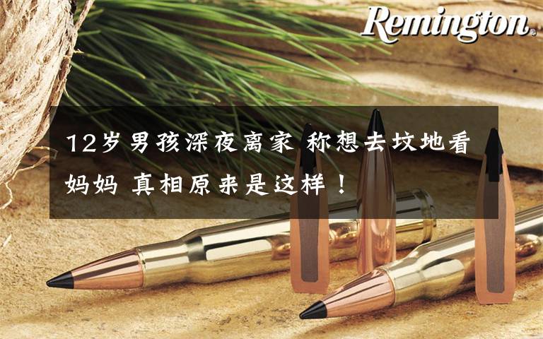 12岁男孩深夜离家 称想去坟地看妈妈 真相原来是这样！