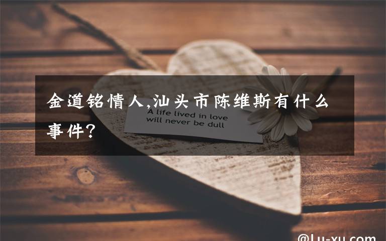 金道铭情人,汕头市陈维斯有什么事件？