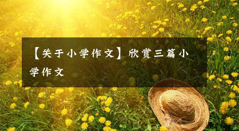 【关于小学作文】欣赏三篇小学作文