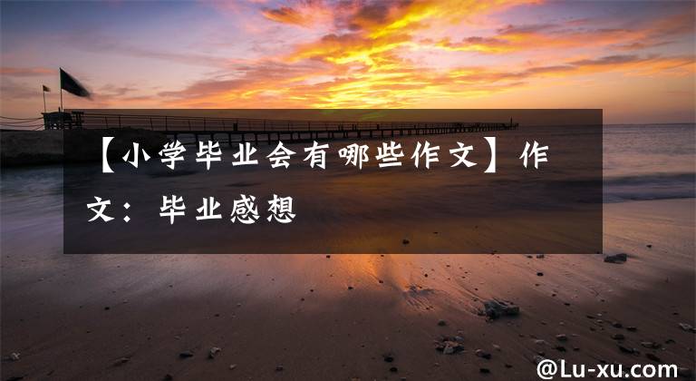 【小学毕业会有哪些作文】作文:毕业感想