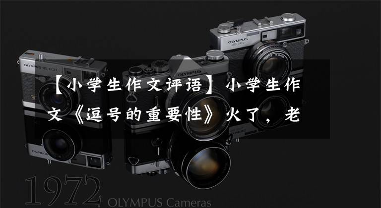 【小学生作文评语】小学生作文《逗号的重要性》火了，老师的评论更引人注目。快把它给你爸爸看。