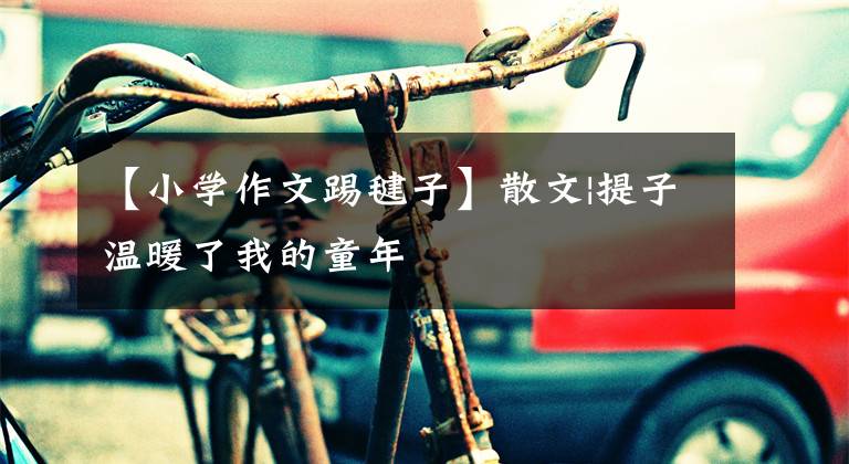 【小学作文踢毽子】散文|提子温暖了我的童年