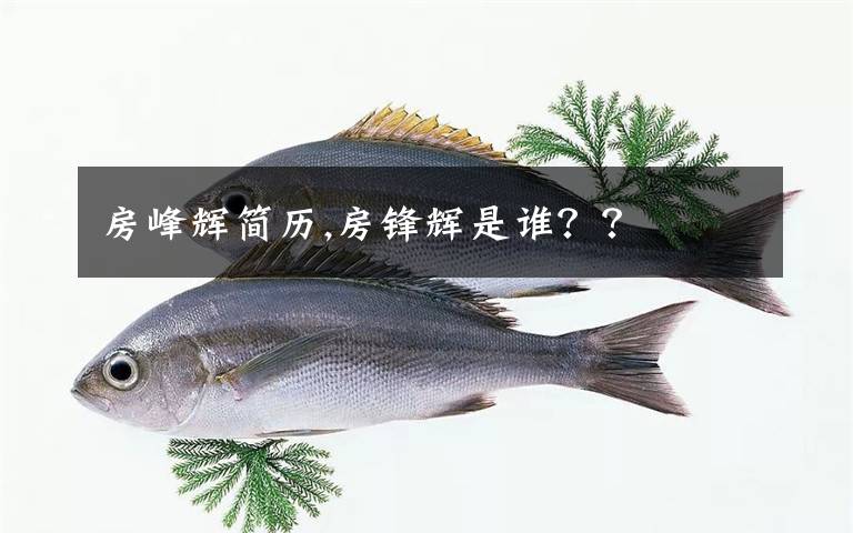 房峰辉简历,房锋辉是谁??