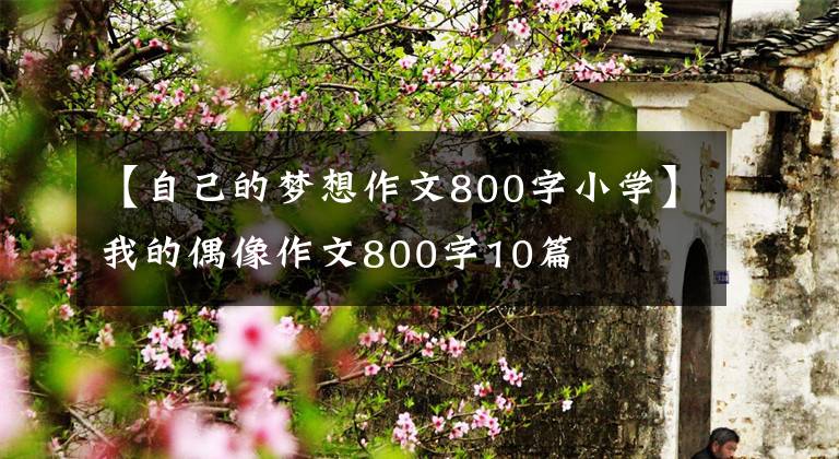 【自己的梦想作文800字小学】我的偶像作文800字10篇