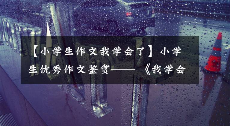 【小学生作文我学会了】小学生优秀作文鉴赏—— 《我学会了包粽子》 400字,范文5篇。