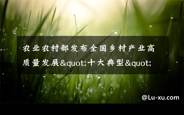 农业农村部发布全国乡村产业高质量发展"十大典型"