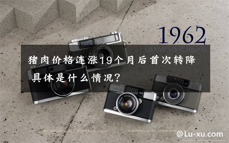 猪肉价格连涨19个月后首次转降 具体是什么情况?