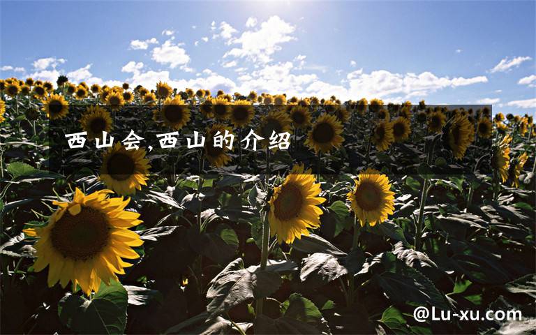 西山会,西山的介绍