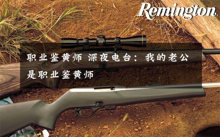 职业鉴黄师 深夜电台：我的老公是职业鉴黄师