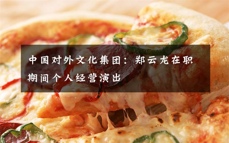 中国对外文化集团:郑云龙在职期间个人经营演出