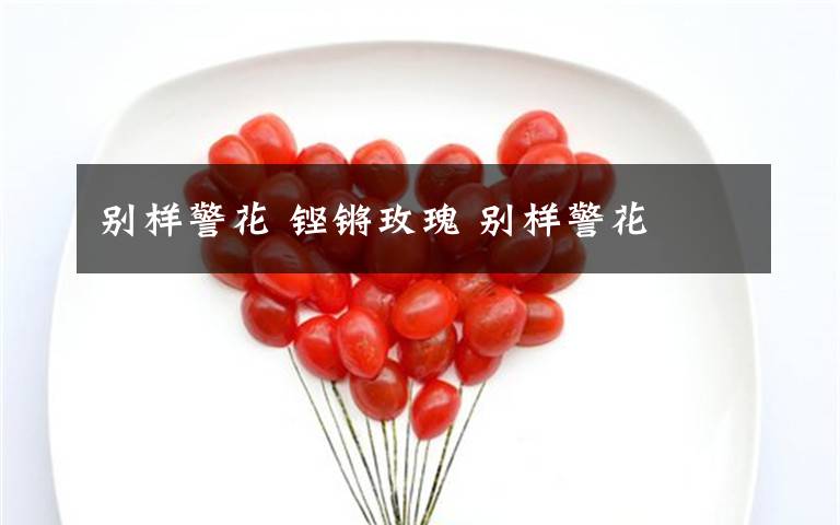 别样警花 铿锵玫瑰 别样警花