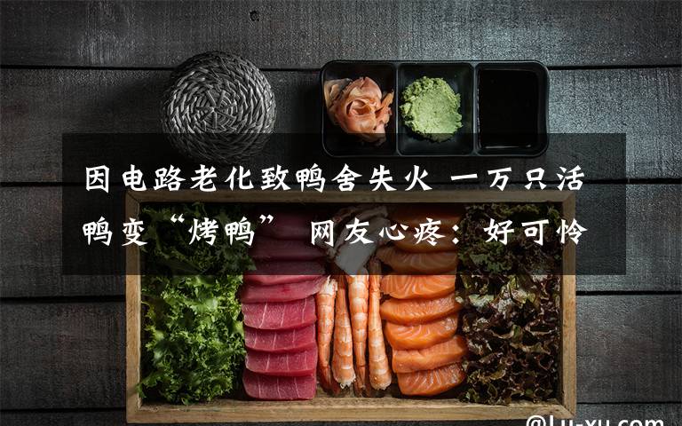 因电路老化致鸭舍失火 一万只活鸭变“烤鸭” 网友心疼:好可怜“鸭”