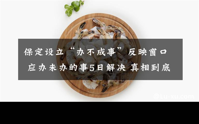 保定设立“办不成事”反映窗口 应办未办的事5日解决 真相到底是怎样的?