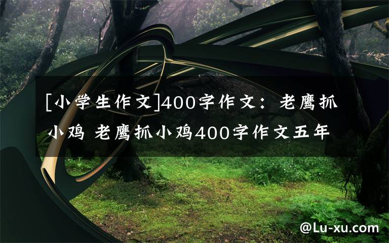 [小学生作文]400字作文：老鹰抓小鸡 老鹰抓小鸡400字作文五年级
