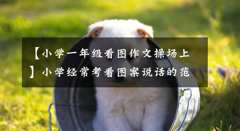 【小学一年级看图作文操场上】小学经常考看图案说话的范文祥。