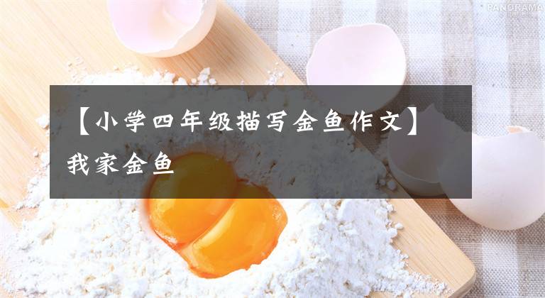 【小学四年级描写金鱼作文】我家金鱼