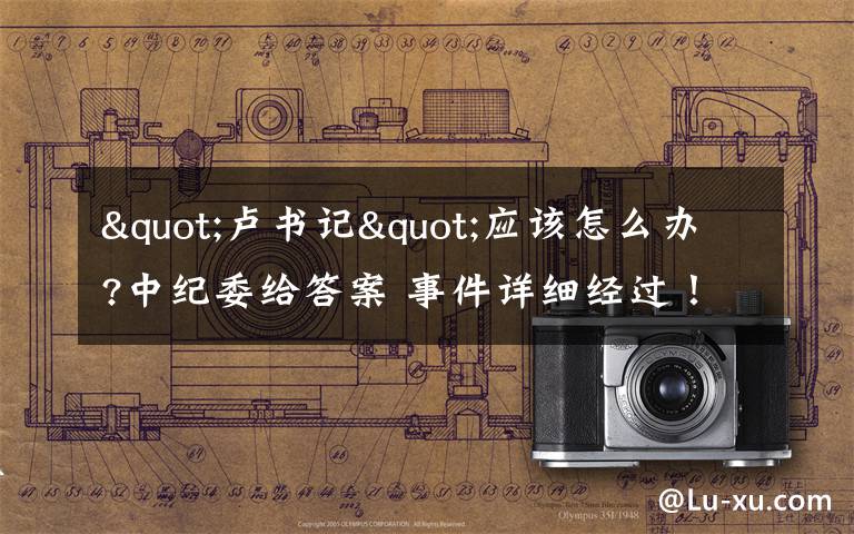 "卢书记"应该怎么办?中纪委给答案 事件详细经过!