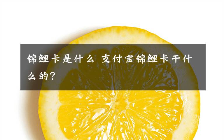 锦鲤卡是什么 支付宝锦鲤卡干什么的?