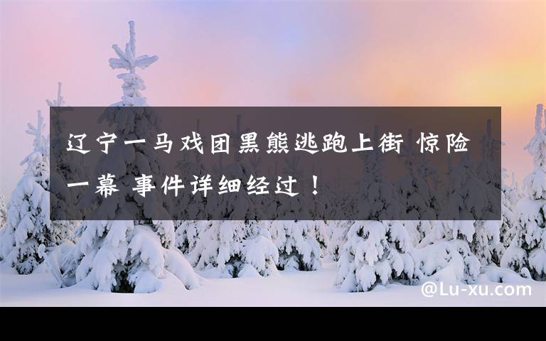 辽宁一马戏团黑熊逃跑上街 惊险一幕 事件详细经过!