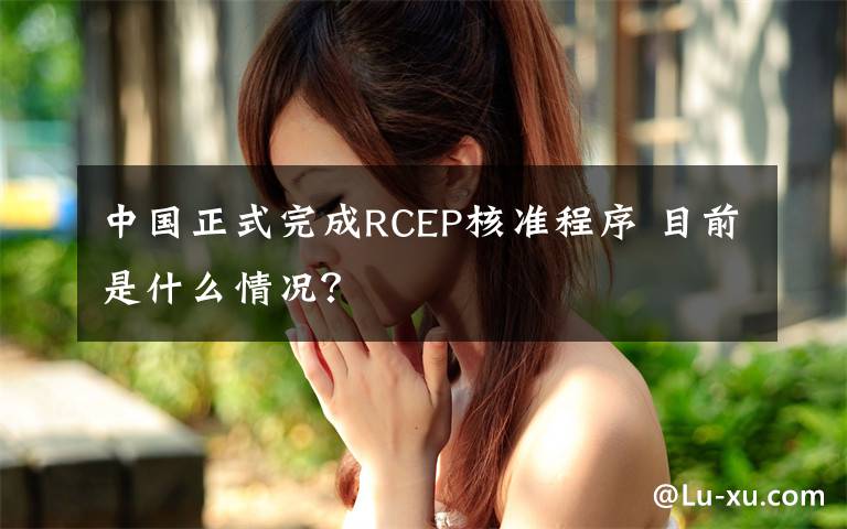 中国正式完成RCEP核准程序 目前是什么情况?