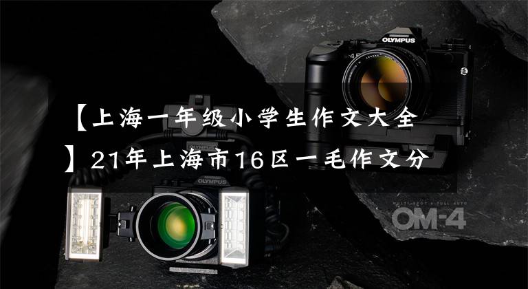 【上海一年级小学生作文大全】21年上海市16区一毛作文分析编辑《收集建议》