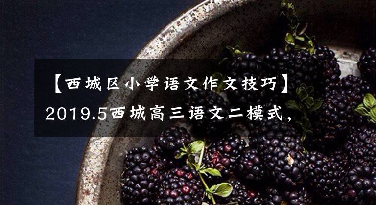 【西城区小学语文作文技巧】2019.5西城高三语文二模式,作文