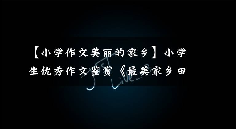 【小学作文美丽的家乡】小学生优秀作文鉴赏《最美家乡田园风光》,田园诗情画意,花香浓郁。