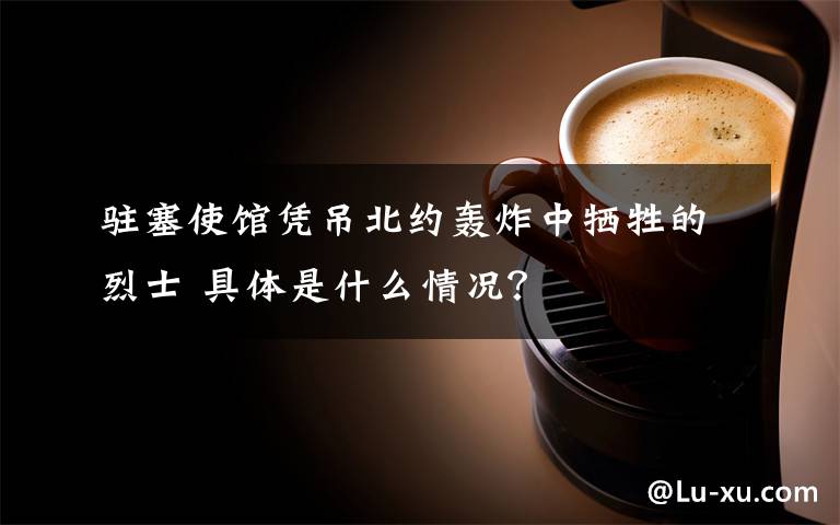 驻塞使馆凭吊北约轰炸中牺牲的烈士 具体是什么情况？